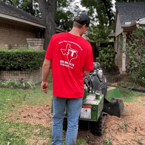 Tree Healthcare in Dallas, TX 3 Tree Healthcare in Dallas, TX