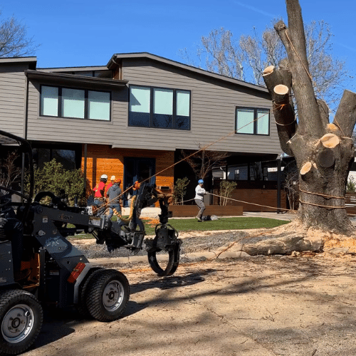 Tree Healthcare in Dallas, TX(9)
