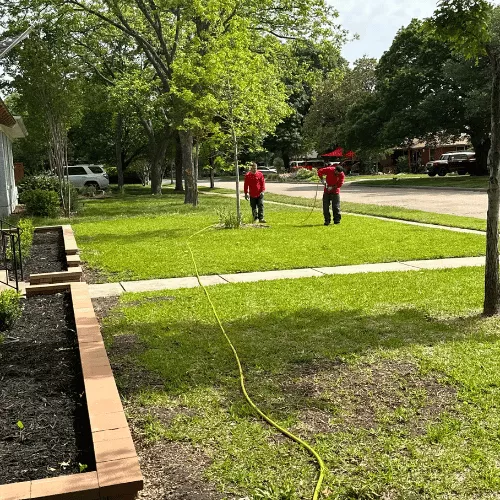 Tree-Aeration-Dallas-4 AireSpade Service in Dallas, TX