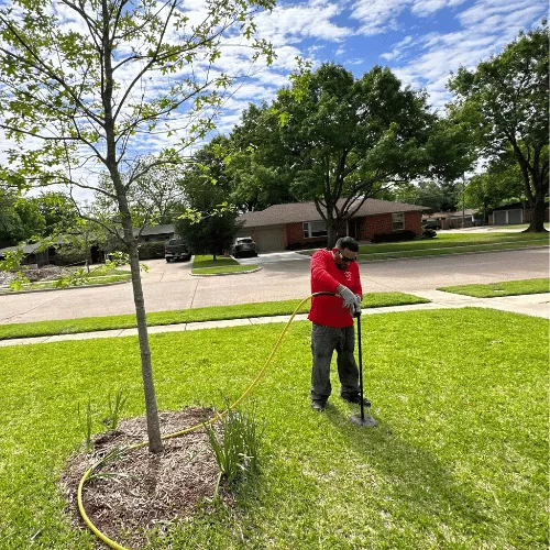 Tree-Aeration-Dallas-5 AireSpade Service in Dallas, TX